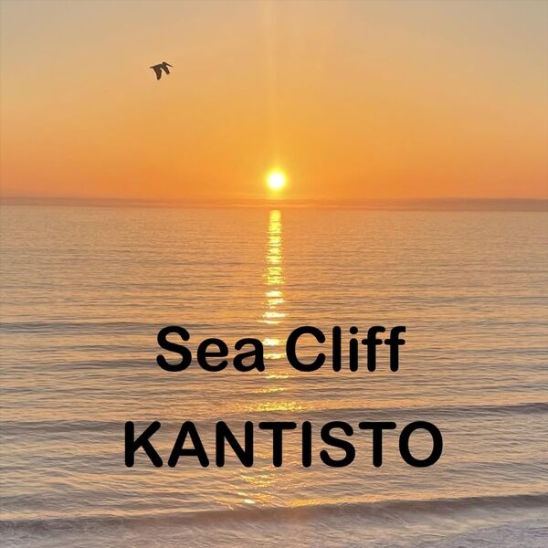 Cover art for Sea Cliff